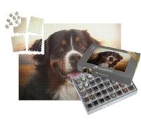 puzzleYOU : Smart Sorted® | Puzzle Photo 1000 pièces « Portrait d'un Bouvier Bernois au Coucher du Soleil »