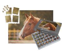 puzzleYOU : Smart Sorted® | Puzzle Photo 1000 pièces « Portrait d'un Cheval dans la lumière du Soir »