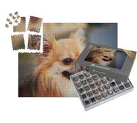 puzzleYOU : Smart Sorted® | Puzzle Photo 1000 pièces « Portrait d'un Chihuahua à Poils Longs en Plein air »