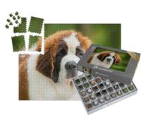 puzzleYOU : Smart Sorted® | Puzzle Photo 1000 pièces « Portrait d'un Chiot Saint-Bernard »