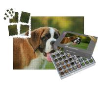 puzzleYOU : Smart Sorted® | Puzzle Photo 1000 pièces « Portrait d'un Chiot Saint-Bernard dans Un Parc »