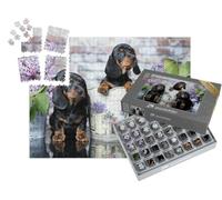 puzzleYOU : Smart Sorted® | Puzzle Photo 1000 pièces « Portrait d'un Chiot Teckel »