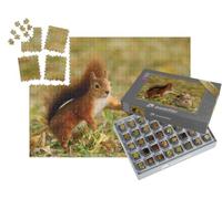 puzzleYOU : Smart Sorted® | Puzzle Photo 1000 pièces « Portrait d'un écureuil Rouge Tenant Un Sac de Noix »