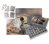 puzzleYOU : Smart Sorted® | Puzzle Photo 1000 pièces « Portrait d'un Faucon crécerelle »