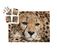 puzzleYOU : Smart Sorted® | Puzzle Photo 1000 pièces « Portrait d'un guépard »