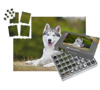 puzzleYOU : Smart Sorted® | Puzzle Photo 1000 pièces « Portrait d'un Husky sibérien »
