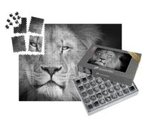 puzzleYOU : Smart Sorted® | Puzzle Photo 1000 pièces « Portrait d'un Lion »