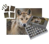 puzzleYOU : Smart Sorted® | Puzzle Photo 1000 pièces « Portrait d'un Loup Gris, Aussi connu sous Le nom de Timberwolf »