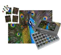 puzzleYOU : Smart Sorted® | Puzzle Photo 1000 pièces « Portrait d'un Paon Dansant Multicolore »