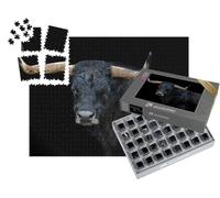 puzzleYOU : Smart Sorted® | Puzzle Photo 1000 pièces « Portrait d'un Taureau »