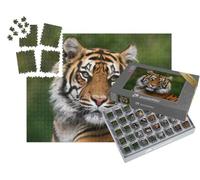 puzzleYOU : Smart Sorted® | Puzzle Photo 1000 pièces « Portrait d'un Tigre du Bengale »