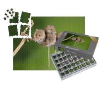puzzleYOU : Smart Sorted® | Puzzle Photo 1000 pièces « Quatre adorables Souris sur Une Toute Petite Branche »