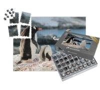 puzzleYOU : Smart Sorted® | Puzzle Photo 1000 pièces « Qui est Le Pingouin Le Plus Fort ? »
