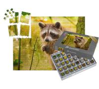 puzzleYOU : Smart Sorted® | Puzzle Photo 1000 pièces « Rare Raton-Laveur Blond dans Un Marais de Louisiane »
