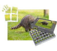 puzzleYOU : Smart Sorted® | Puzzle Photo 1000 pièces « Raton Laveur dans Le Parc Stanley, Colombie-Britannique, Canada »