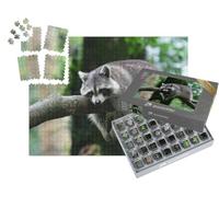 puzzleYOU : Smart Sorted® | Puzzle Photo 1000 pièces « Raton Laveur détendu Lors de sa Pause sur Une Branche d'arbre »