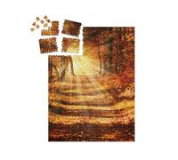 puzzleYOU : Smart Sorted® | Puzzle Photo 1000 pièces « Rayons de Soleil sur Un Chemin forestier en Automne doré »