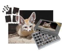 puzzleYOU : Smart Sorted® | Puzzle Photo 1000 pièces « Renard de Fennec ou du désert »