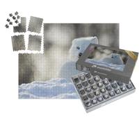 puzzleYOU : Smart Sorted® | Puzzle Photo 1000 pièces « Renard Polaire aux Yeux Bleus perçants »