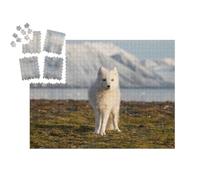 puzzleYOU : Smart Sorted® | Puzzle Photo 1000 pièces « Renard Polaire dans Les Rayons du Soleil couchant »