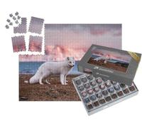 puzzleYOU : Smart Sorted® | Puzzle Photo 1000 pièces « Renard Polaire sous Le Soleil d'automne »