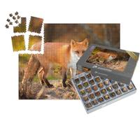 puzzleYOU : Smart Sorted® | Puzzle Photo 1000 pièces « Renard Roux dans la Nature »