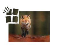 puzzleYOU : Smart Sorted® | Puzzle Photo 1000 pièces « Renard Roux en Terrain automnal »