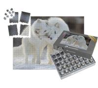 puzzleYOU : Smart Sorted® | Puzzle Photo 1000 pièces « Renards Polaires au Combat »