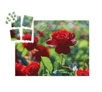 puzzleYOU : Smart Sorted® | Puzzle Photo 1000 pièces « Rose Rouge dans Une roseraie en Fleurs »