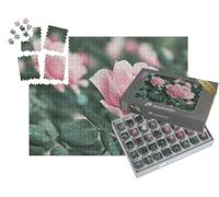 puzzleYOU : Smart Sorted® | Puzzle Photo 1000 pièces « Roses Roses dans la Nature »