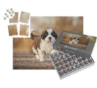 puzzleYOU : Smart Sorted® | Puzzle Photo 1000 pièces « Saint-Bernard Chiot »