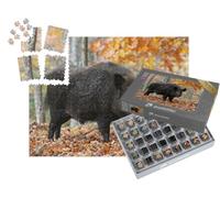 puzzleYOU : Smart Sorted® | Puzzle Photo 1000 pièces « Sanglier mâle dans Une forêt d'automne »