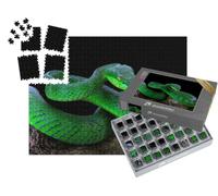 puzzleYOU : Smart Sorted® | Puzzle Photo 1000 pièces « Serpent Vert albolaris »