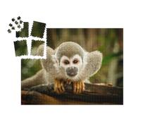puzzleYOU : Smart Sorted® | Puzzle Photo 1000 pièces « Singe à tête de Mort en Amazonie »