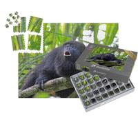 puzzleYOU : Smart Sorted® | Puzzle Photo 1000 pièces « Singe hurleur Noir ou guatémaltèque sur Un Arbre »