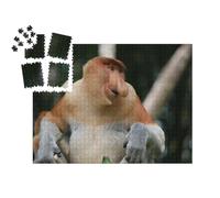 puzzleYOU : Smart Sorted® | Puzzle Photo 1000 pièces « Singe Proboscis mâle Adulte ou Singe à Long Nez »