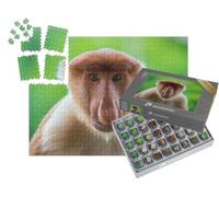 puzzleYOU : Smart Sorted® | Puzzle Photo 1000 pièces « Singe Proboscis ou Nasalis larvatus à Bornéo »