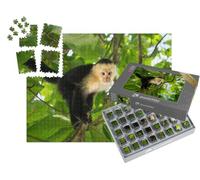puzzleYOU : Smart Sorted® | Puzzle Photo 1000 pièces « Singes capucins à tête Blanche, Manuel Antonio, forêt Tropicale du Costa Rica »