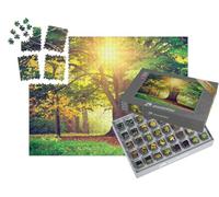 puzzleYOU : Smart Sorted® | Puzzle Photo 1000 pièces « Soirée au Parc »