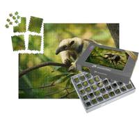 puzzleYOU : Smart Sorted® | Puzzle Photo 1000 pièces « Tamandua du Nord, Fourmilier du Mexique »