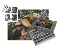 puzzleYOU : Smart Sorted® | Puzzle Photo 1000 pièces « Tamandua du Sud, Espírito Santo, Brésil »