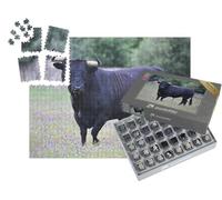 puzzleYOU : Smart Sorted® | Puzzle Photo 1000 pièces « Taureau Noir en Espagne dans Le pré Vert »