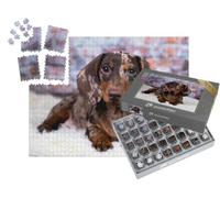 puzzleYOU : Smart Sorted® | Puzzle Photo 1000 pièces « Teckel »