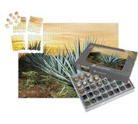 puzzleYOU : Smart Sorted® | Puzzle Photo 1000 pièces « Tequila-Plantage, Guadalajara, Mexique »