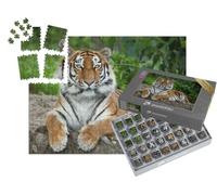 puzzleYOU : Smart Sorted® | Puzzle Photo 1000 pièces « Tigre de Sibérie, également connu sous Le nom de Tigre de l'amour »