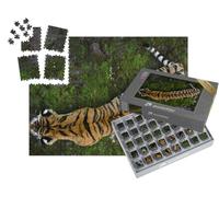 puzzleYOU : Smart Sorted® | Puzzle Photo 1000 pièces « Tigre d'Oussouri, Le Tigre Le Plus septentrional »