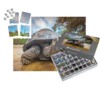 puzzleYOU : Smart Sorted® | Puzzle Photo 1000 pièces « Tortue des Galapagos, Équateur »