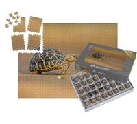 puzzleYOU : Smart Sorted® | Puzzle Photo 1000 pièces « Tortue étoilée Indienne »