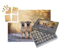 puzzleYOU : Smart Sorted® | Puzzle Photo 1000 pièces « Trois Bullmastiffs par Un Matin Glacial »