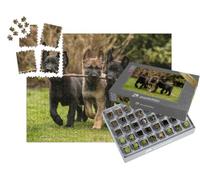 puzzleYOU : Smart Sorted® | Puzzle Photo 1000 pièces « Trois Chiots bergers apportent Un bâton »